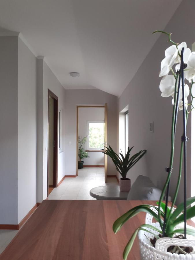Muzicii 11 - Cozy Seaside Apartments Năvodari 외부 사진
