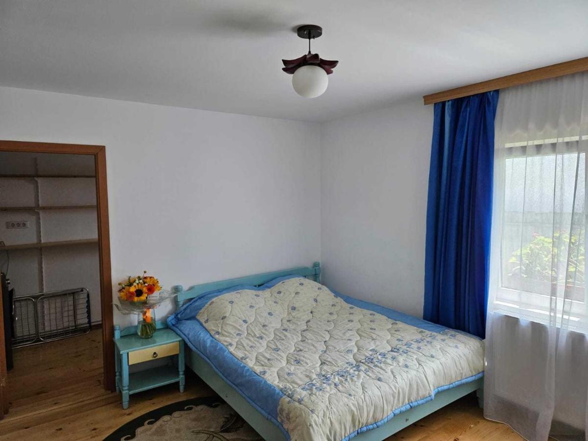 Muzicii 11 - Cozy Seaside Apartments Năvodari 외부 사진
